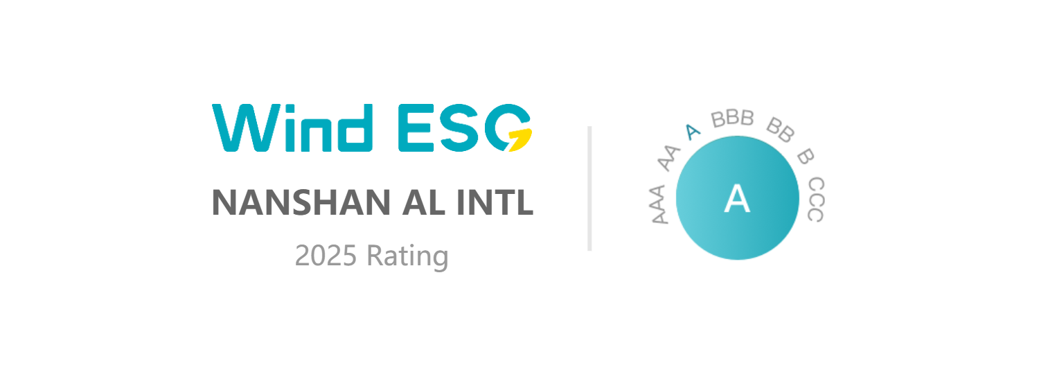 NANSHAN AL INTL.png